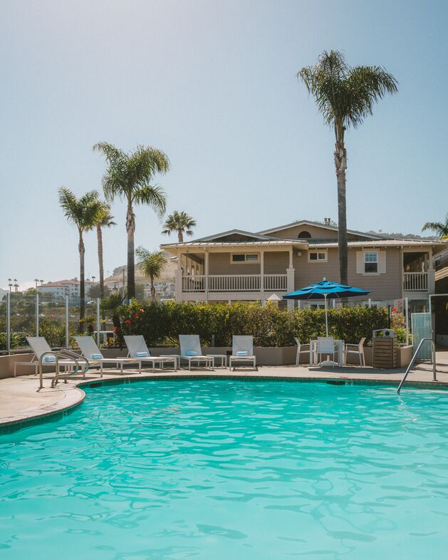 A clear swimming pool with lounge chairs and umbrellas is surrounded by palm trees, with a beige building and blue sky in the background.