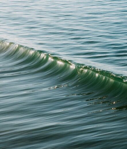 A gentle ocean wave moves across calm, blue-green water under soft daylight, creating ripples and reflections on the surface.