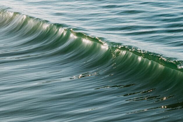A close-up of a gentle ocean wave forming a smooth curve, with sunlight reflecting off the rippling water surface.
