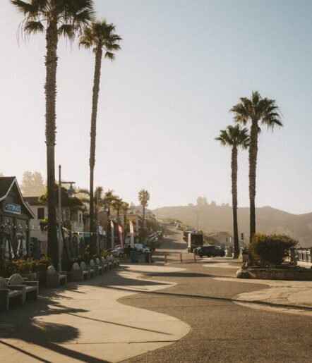 Palm trees line a quiet, sunlit coastal walkway with benches and small shops on the left. A few cars and distant hills are visible under a clear sky.