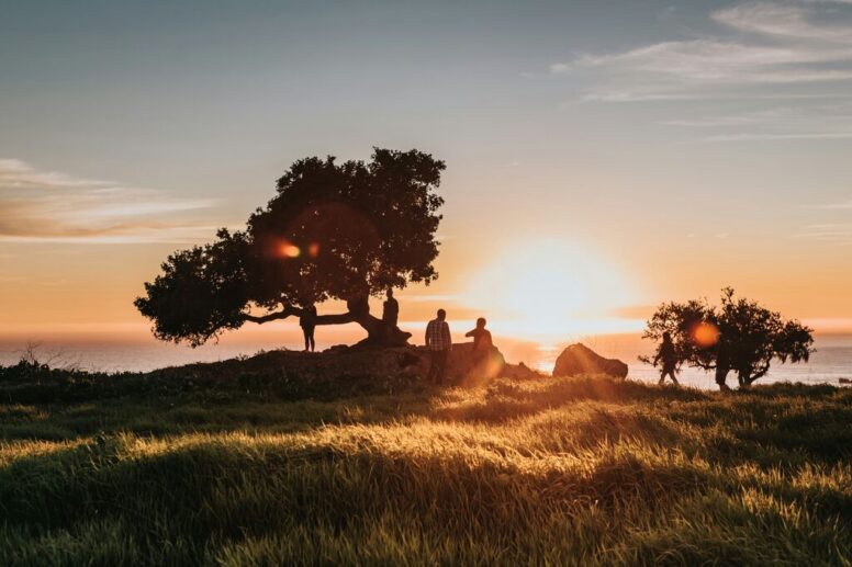 Three people stand near trees on a grassy hill at sunset, with the sun low on the horizon, casting a golden glow across the landscape.